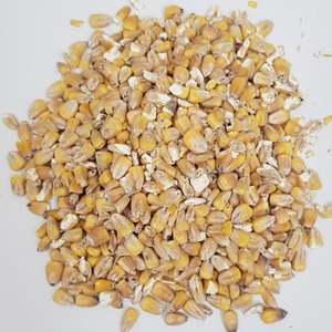 Beer Whole Malted Barley Unmilled: Gladfield Maize Malt (now pre-milled at Gladfield)