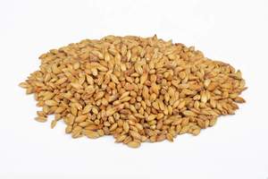 Beer Whole Malted Barley Unmilled: Bestmalz Carahell Malt (Whole)
