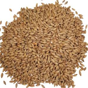 Beer Whole Malted Barley Unmilled: Gladfield German Pilsner Malt (Whole)