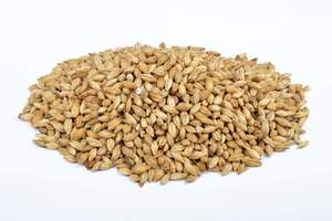 Beer Whole Malted Barley Unmilled: Bestmalz Pale Ale (Whole)