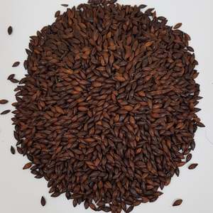 Beer Whole Malted Barley Unmilled: Gladfield Light Chocolate Malt (Whole)
