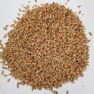 Beer Whole Malted Barley Unmilled: Gladfield Aurora Malt (Whole)