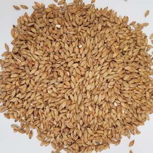 Beer Whole Malted Barley Unmilled: Gladfield Gladiator Malt (Whole)