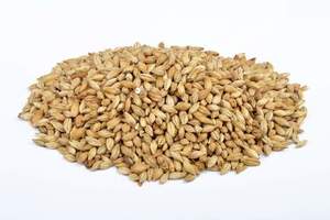 Beer Crushed To Order Malted Barley Milled: Bestmalz Pale Ale Malt (Milled)