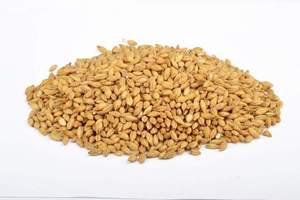 Beer Crushed To Order Malted Barley Milled: Bestmalz Carapils Malt (Milled)