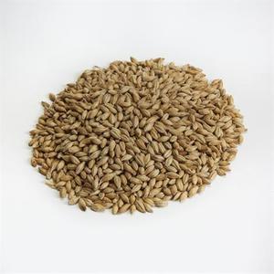 Beer Crushed To Order Malted Barley Milled: Golden Promise Malt (Milled)