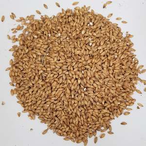 Beer Crushed To Order Malted Barley Milled: Gladfield Manuka Smoked Malt (Milled)