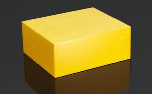 Siglo 50 Stick Humidor Sunny Yellow