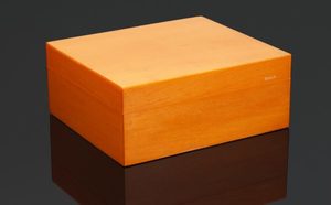 Siglo 50-Stick Humidor Orange