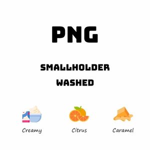 Products: Papua New Guinea Smallholder - Washed - HAVE COFFEE 侑一家咖啡