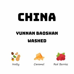Products: China Yunnan Baoshan - Washed - HAVE COFFEE 侑一家咖啡