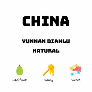Products: China Yunnan Dianlu - Natural - HAVE COFFEE 侑一家咖啡