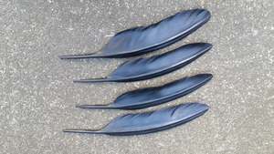 Pukeko feather 400mm $380