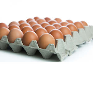 Sunny Side Up Colony Eggs: Sunny Side Up - Colony 30 Pack