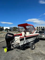 All: 1991 REFLEX 505 CLASSIC CAMINO