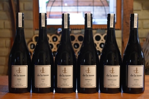 Lot S04 – de la terre – Mixed Reds