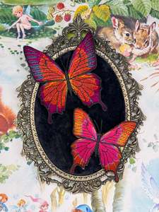 Front Feature: Pixie Portal - Nightling