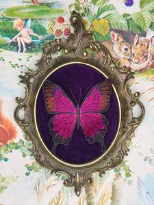 Front Feature: Pixie Portal - Enchanted