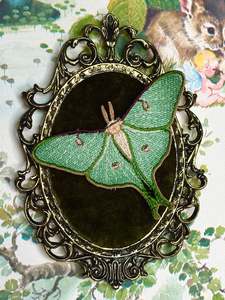 Pixie Portal - Moss