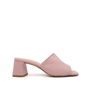 Ardour: Cosimo - Rosa