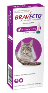Bravecto: Bravecto Spot-On Cat Large