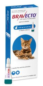 Bravecto: Bravecto Spot-On Cat Medium