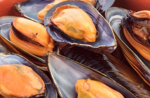 Products: Ask the experts: Cholesterol in seafood