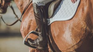 Products: Stress Monster Bundle Healthy Horses Inside Out