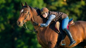 Products: All Rounder Bundle Healthy Horses Inside Out