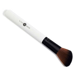Brushes: LILY LOLO BLUSH BRUSH
