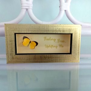 Blue Morpho Butterfly- Heart Healing Butterflies & Gifts