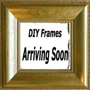 Monarch Butterfly- Heart Healing Butterflies & Gifts