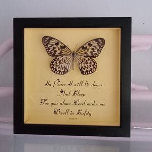Phantom Butterfly-Inspirational- Heart Healing Butterflies & Gifts