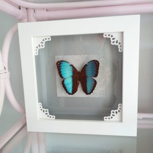 60 Mins Counselling/Life Coaching Session- Heart Healing Butterflies & Gifts