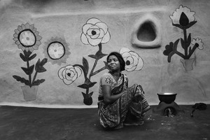 Products: Sunflower
