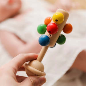 Rainbow Rattle