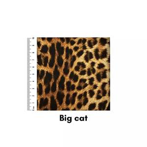 Big cat
