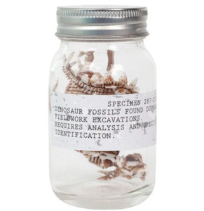 Little Darlings: Dino Fossils In a Jar