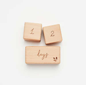 Milestone Wooden Block Set