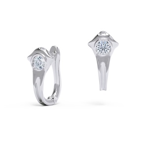 Products: Swoop Earrings