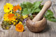 Basic Natural Healthcare – Herbal Education