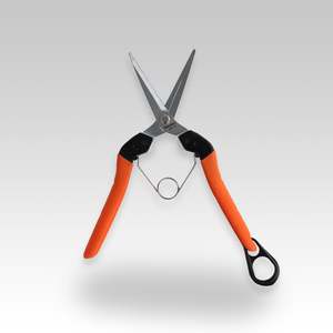 Pruners Trellis Netting: Saboten PT-6 Harvest Scissors