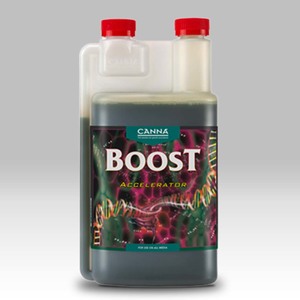 CANNA Boost Accelerator