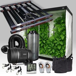 Grow Kit - Stage Four