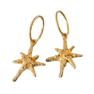Earrings: Faerie Star Charm Earrings