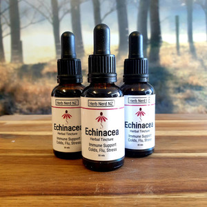 Echinacea Herb Nerd NZ