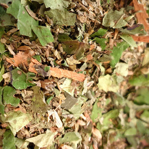 Digestion Tea, Organic Herb Nerd NZ