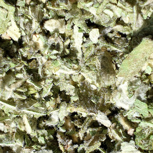 Products: Mullein Leaf Herb Nerd NZ