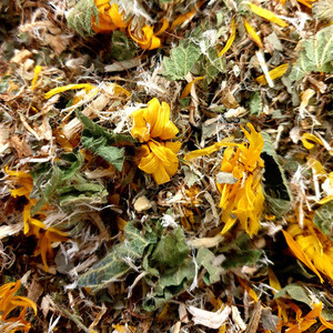 Products: Kidney Support Tea, Organic Herb Nerd NZ