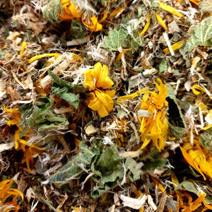 Products: Kidney Support Tea, Organic Herb Nerd NZ